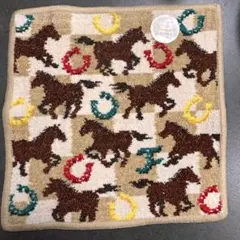 フェイラー　タオルハンカチ　スプリントホース