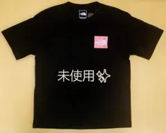 【未使用】THE NORTH FACE バックプリント Tシャツ 綿100%