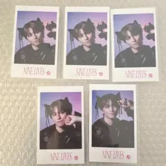 タカシ ミニフォト