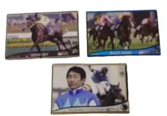 2026年最新】オーナーズホースの人気アイテム - メルカリ