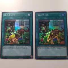 遊戯王 隣の芝刈り スーパーレア 2枚セット