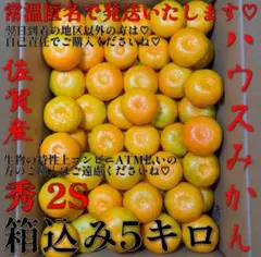 甘くて♡美味しい*\(^o^)/*❤️ハウスみかん❤️赤秀❤️2Sサイズ❤️5キロ❤️のサムネイル