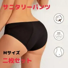 サニタリーショーツ Mサイズ 2장 세트