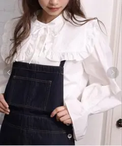 ビックカラー付け衿ブラウス