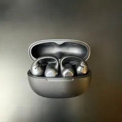 ☆片方紛失☆ Shokz OpenDots ONE グレー - メルカリ