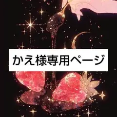 かえ様専用ページ☆