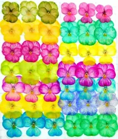 Item thumbnail for item 889845a6-23c4-4895-98d6-74dc4987d9b0