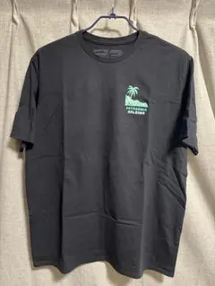 新品ハワイ限定PATAGONIA HALEIWA Tシャツ