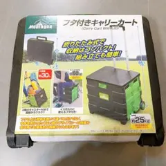 Item thumbnail for item 549f065e-9943-49d8-8fe7-9c92f92920af