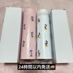 2026ディズニーストア ラッキーバック福袋 水筒