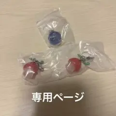 【やまひ様専用】ワンピース めじるしアクセサリー3 ゴムゴムの実 ヒトヒトの実