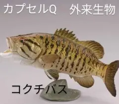 海洋堂、松村氏の食玩フィギュアセット。３ 海洋堂、松村氏の食玩フィギュアセット。3