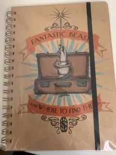 Item thumbnail for item 183302f4-45bb-4b55-a84f-fb99363ae1e2