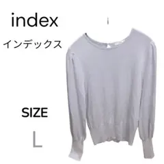 インデックス　長袖 ニット　ライトブルー　Lサイズ　キレイめ　オフィス　美品のサムネイル