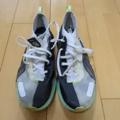 Item thumbnail for item 10ae885b-d6cd-45cf-84fe-9433e5b0a2cb