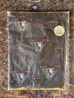 Item thumbnail for item 07a0e0cf-f0b5-4206-b8d7-d7d73ceb7364