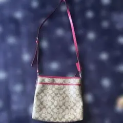 Item thumbnail for item 055a7355-fa3a-49ab-afbd-ef4bfe256444