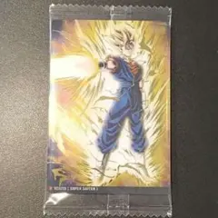 イタジャガ　ドラゴンボール　SR　6-24　ベジット