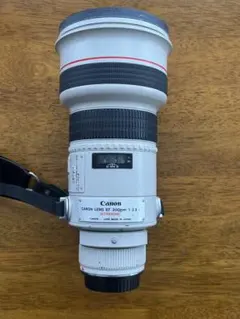 2025年最新】EF300mm F2.8L ISの人気アイテム - メルカリ