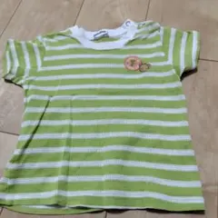 familiar 緑と白のストライプ Tシャツ