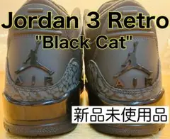 Nike Air Jordan 3 Retro 