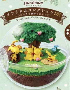 2026年最新】ポケットモンスター テラリウムコレクションDX ～ひだまり