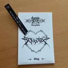 Straykids スキズ dominATE stayzone ヒョンジン