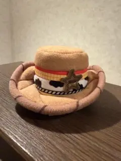 ディズニー　ヘアピン　他