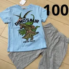 パジャマ 上下セット 男の子 100 恐竜