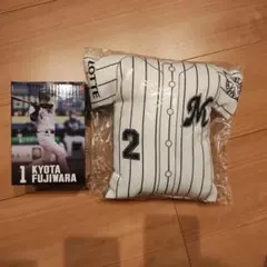 Item thumbnail for item 92b88484-5790-4395-be14-2cb038dce54a