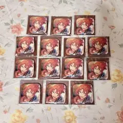 あんスタ スクエア缶バッジ ナイキラ レオ 14点