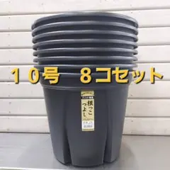 ☆セットがお買い得！ 生育環境を整えるスリット構造！根っこつよし