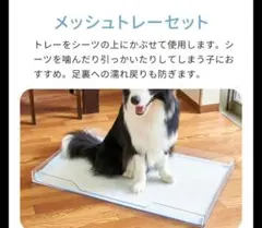 犬用トイレトレー 特大サイズ 102×71cm メッシュカバー付き - メルカリ