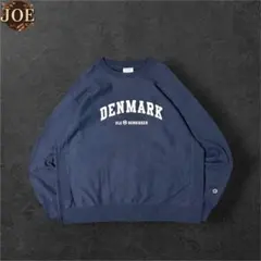 【希少サイズ】Championリバースウィーブスウェット2XL濃紺ビッグサイズ