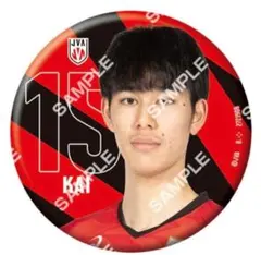 Item thumbnail for item e4c2d5b8-dfde-4aa1-9023-03ba154c27a9