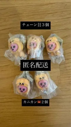 SKZOO つまんでつなげてマスコット vol.2 チャンビン