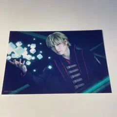 ワーステ　ブロマイド