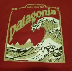 90'S パタゴニア アメリカ製 Teeシャツ ヴィンテージ