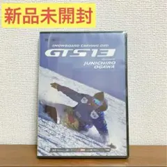 ⭐️ 残り１点‼️新品未開封⭐️スノーボードカービングDVD GTS13