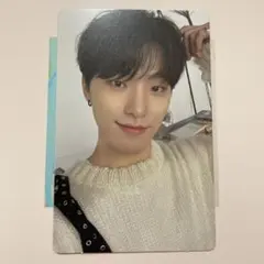 FACETHESUN CARAT盤　ランダムトレカ　ディノ