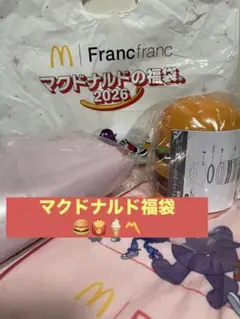 マクドナルド福袋 2026年☆スープジャー、保冷バッグ、タオル、ビニール袋