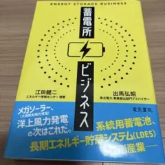 蓄電所ビジネス