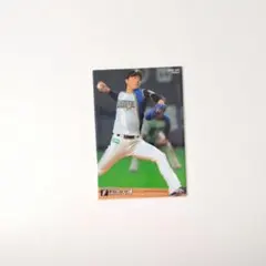 プロ野球チップス 玉井大翔 カード 北海道日本ハムファイターズ 2020