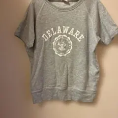 Champion DELAWARE トレーナー X-Small グレー