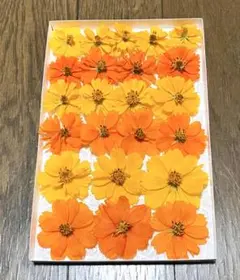 kam様 リクエスト 3点 まとめ商品