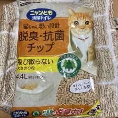 Item thumbnail for item 34cc2a9a-0321-4a5b-9d68-59b95d8db91e