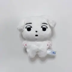 aespa ウィンター ぬいぐるみ 10cm