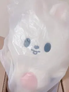 StrayKidsスキズ ペンミ ジニレット リュック - メルカリ