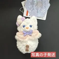 リーナベル 雪だるまのぬいぐるみチャーム シークレットオブスノーウィーデイ