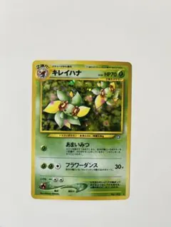 2026年最新】キレイハナ 旧の人気アイテム - メルカリ